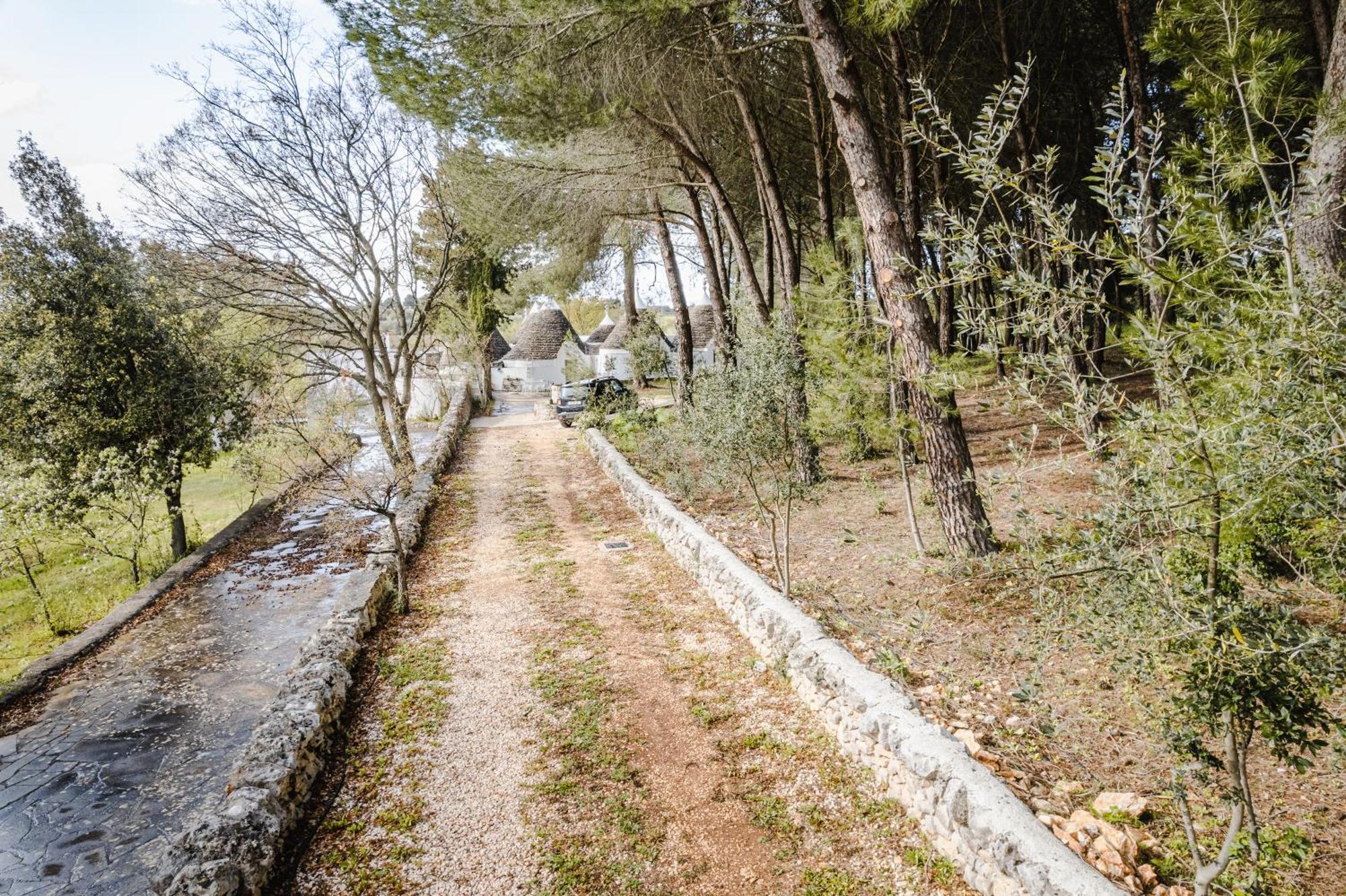 19 Secolo - Trulli Con Foresta, Bici E Barbecue Cisternino Exteriér fotografie
