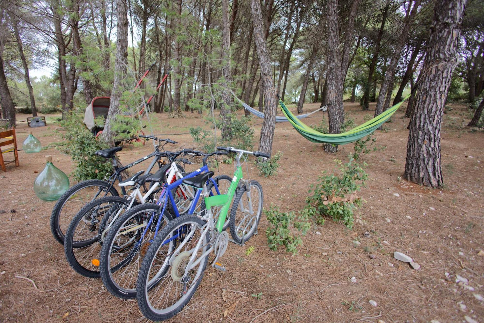 19 Secolo - Trulli Con Foresta, Bici E Barbecue Cisternino Exteriér fotografie